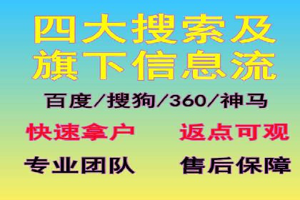 百度推广代运营案例：案例分享：打造行业领军品牌
